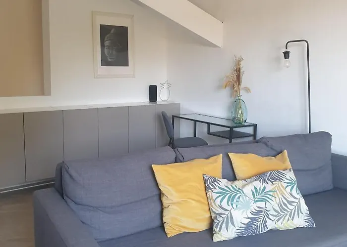 Duplex Sur Les Etangs De Peyriac De Mer